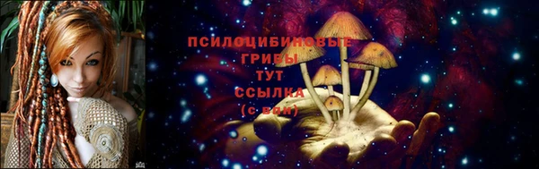 Альфа ПВП Зерноград